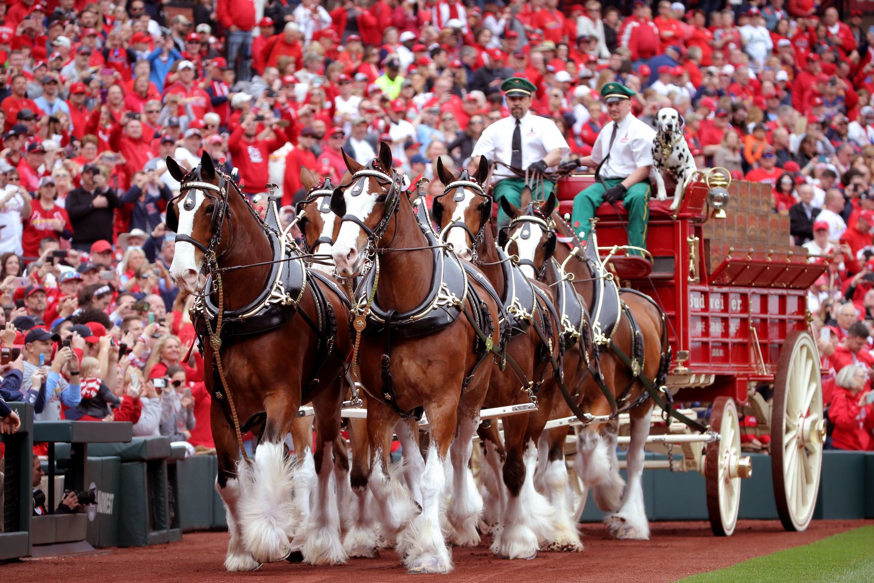 Cardinals host Padres in home opener